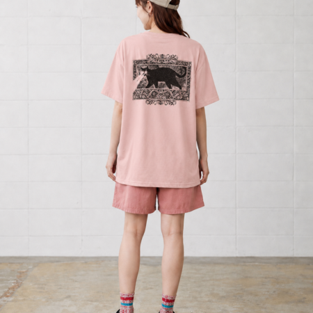 9D02B1BD-794F-4262-A092-BF03FAF89FC7 FLASH_ONE_SS_B.PINK